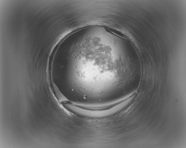 X0000061740902200512161646