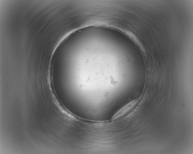 X0000061740904200512161646