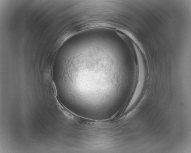 X0000061740905200512161646