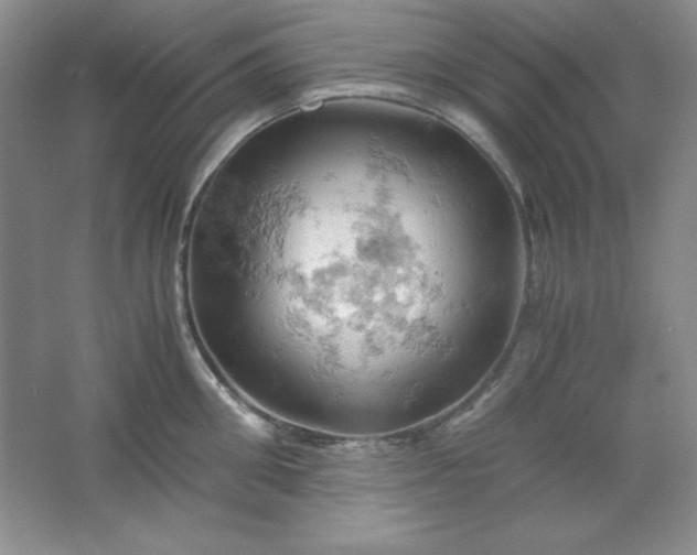 X0000061740906200512161646