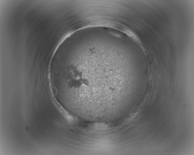 X0000061740907200512161646