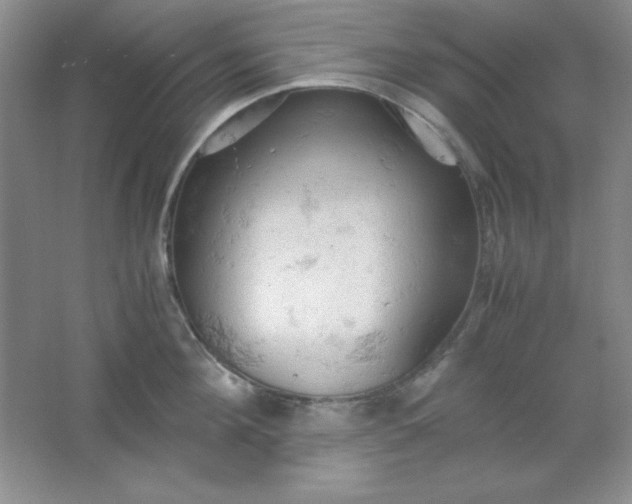 X0000061740908200512161646