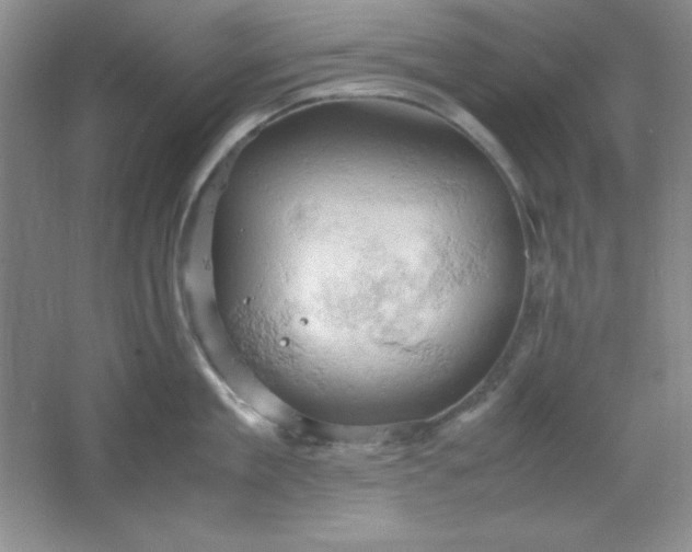 X0000061740909200512161646