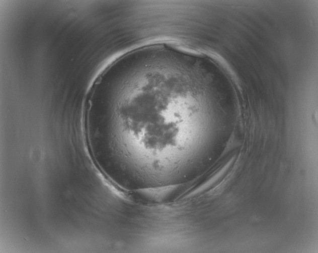 X0000061740910200512161646