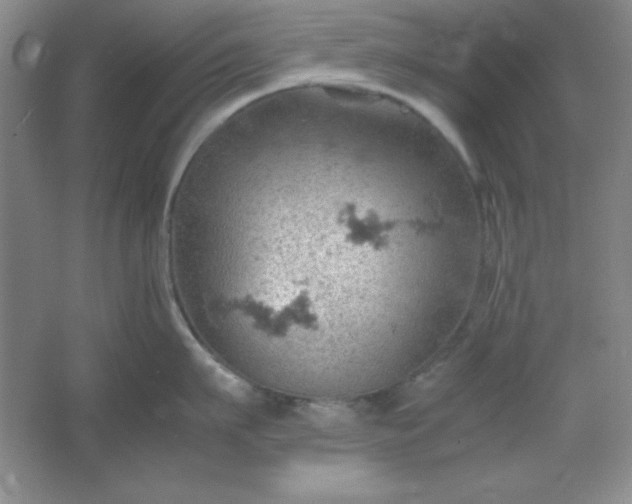 X0000061740911200512161646