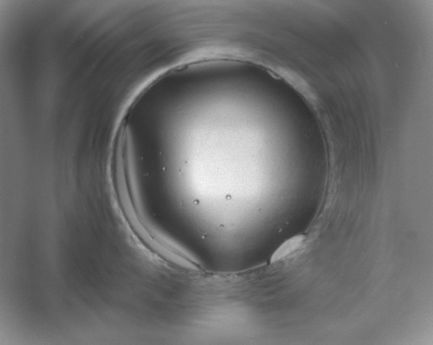 X0000061740912200512161646