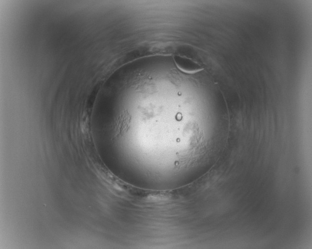 X0000061740914200512161645