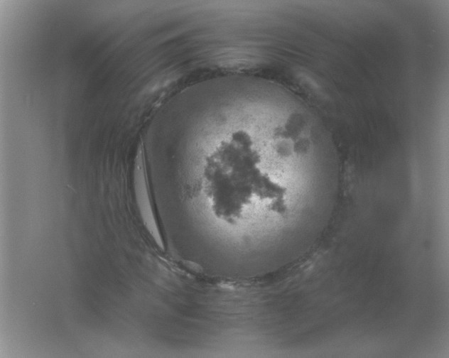 X0000061740917200512161645