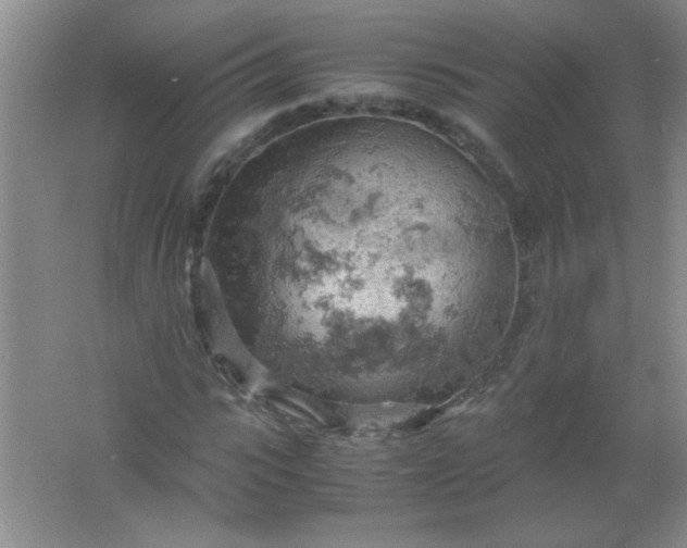 X0000061740919200512161645