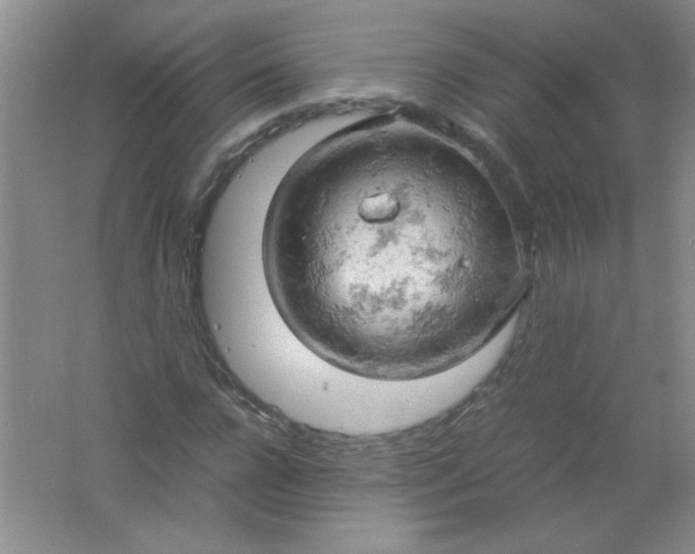 X0000061740920200512161645