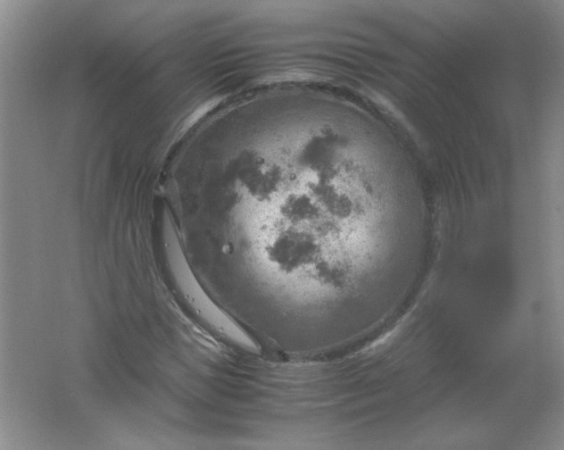 X0000061740921200512161645