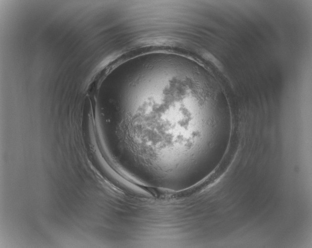 X0000061740922200512161645