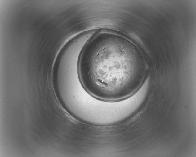 X0000061740924200512161646