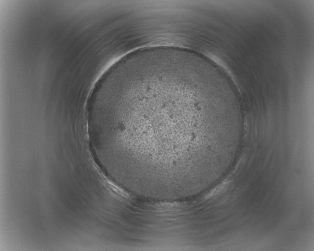 X0000061740925200512161646