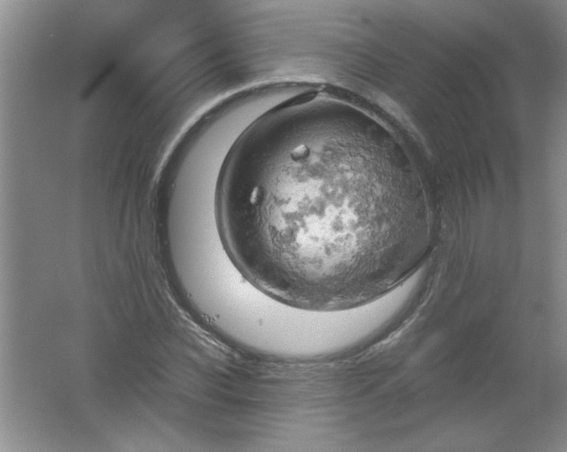 X0000061740926200512161646