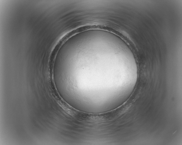 X0000061740927200512161646