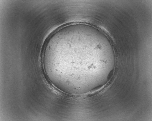 X0000061740928200512161646