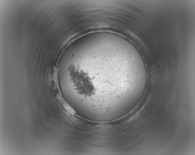 X0000061740929200512161646