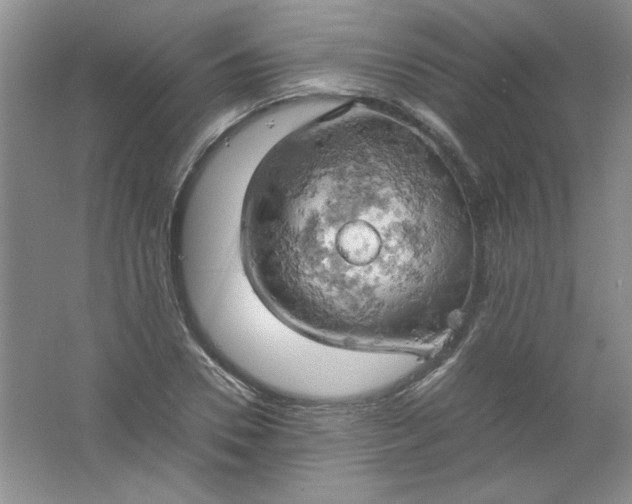 X0000061740930200512161646