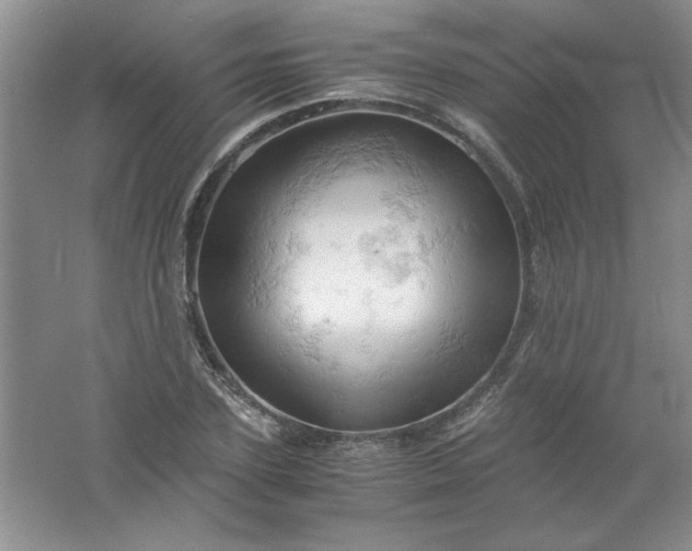 X0000061740931200512161646