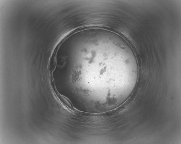 X0000061740933200512161646