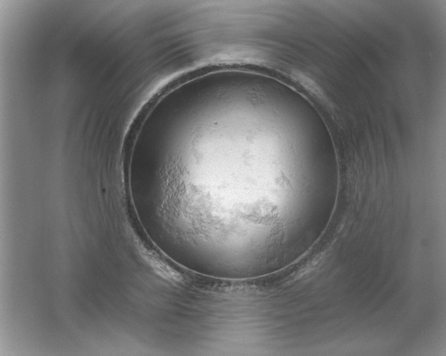 X0000061740934200512161646