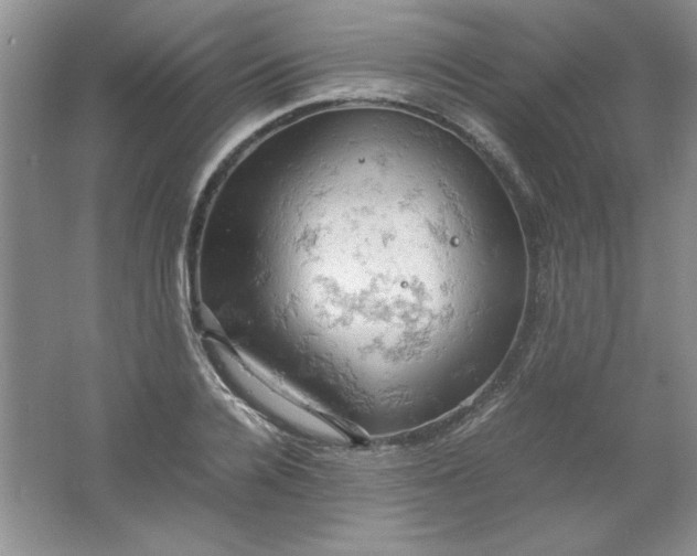 X0000061740936200512161646