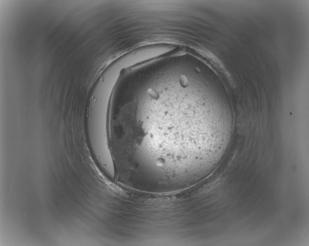 X0000061740937200512161646