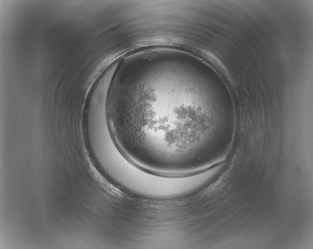 X0000061740938200512161646