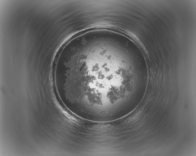 X0000061740939200512161646