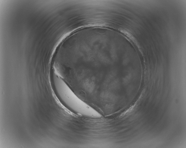 X0000061740941200512161646