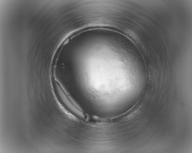 X0000061740942200512161646