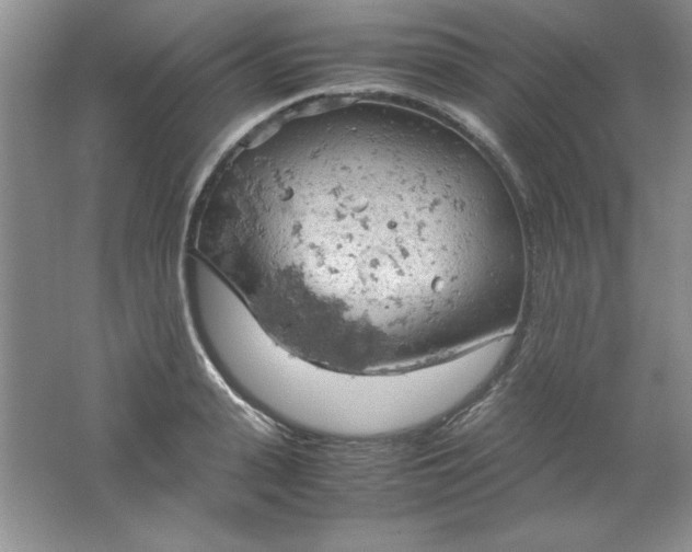 X0000061740943200512161646