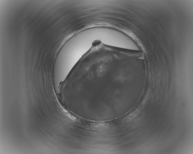 X0000061740945200512161646