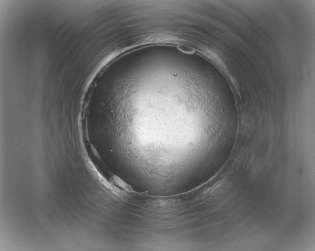 X0000061740947200512161646