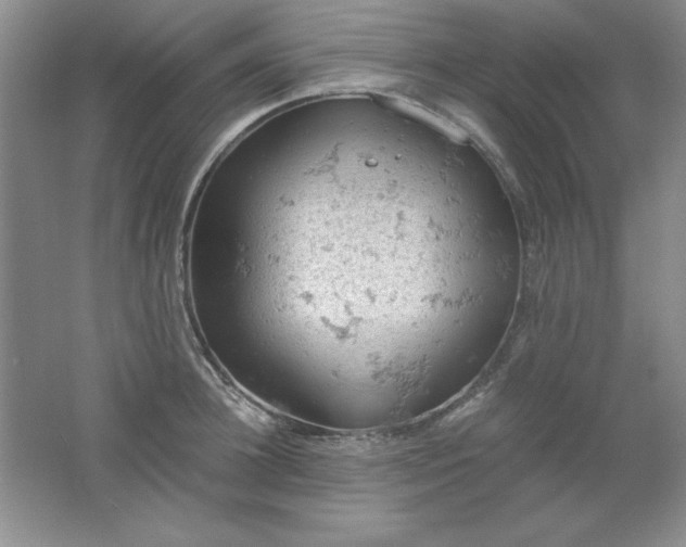 X0000061740948200512161646