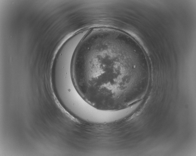 X0000061740949200512161646