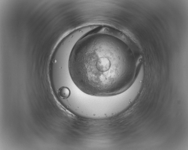 X0000061740950200512161646