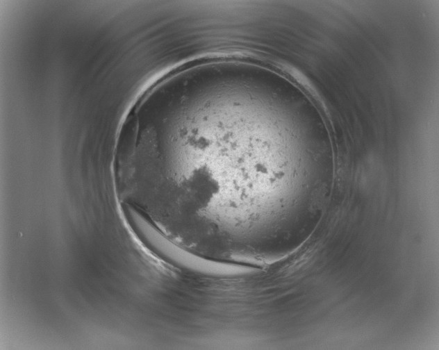 X0000061740951200512161646