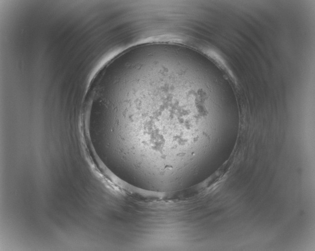 X0000061740952200512161646