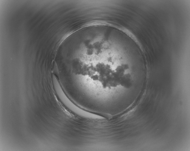 X0000061740953200512161646