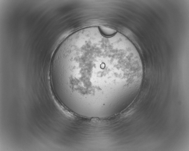 X0000061740954200512161646