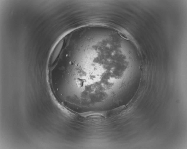 X0000061740955200512161646