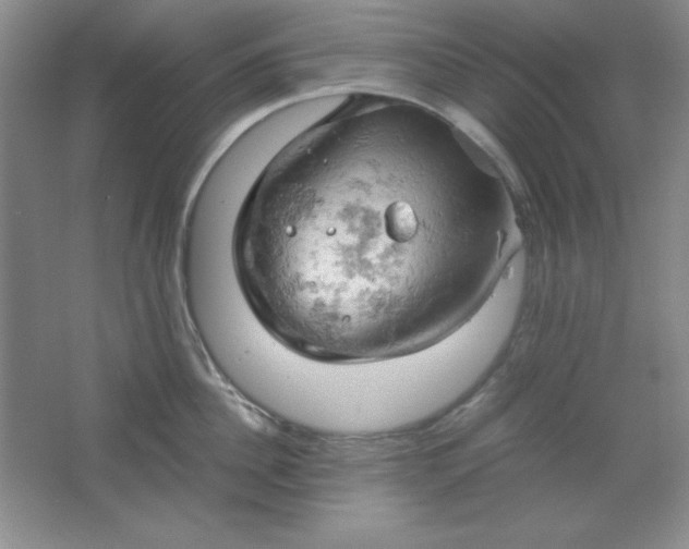 X0000061740956200512161646