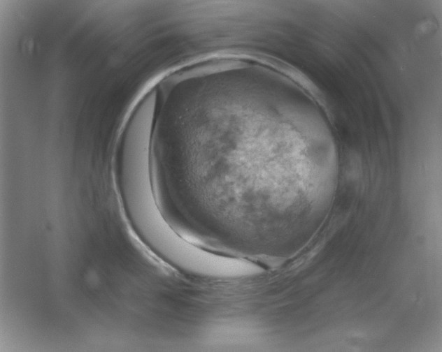 X0000061740958200512161646