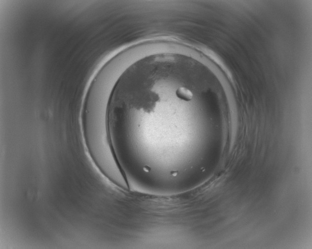 X0000061740959200512161646