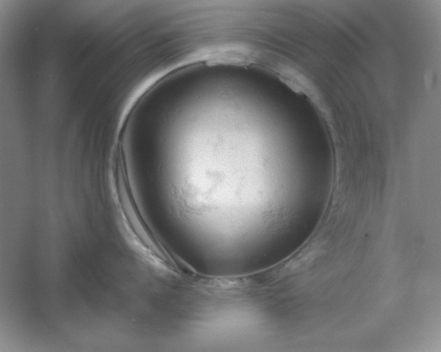 X0000061740960200512161646