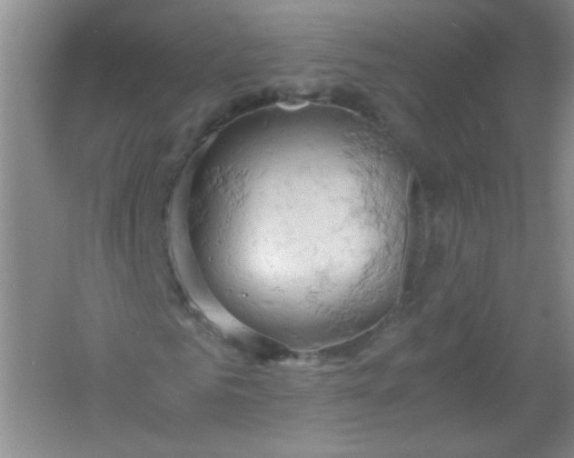 X0000061740961200512161645