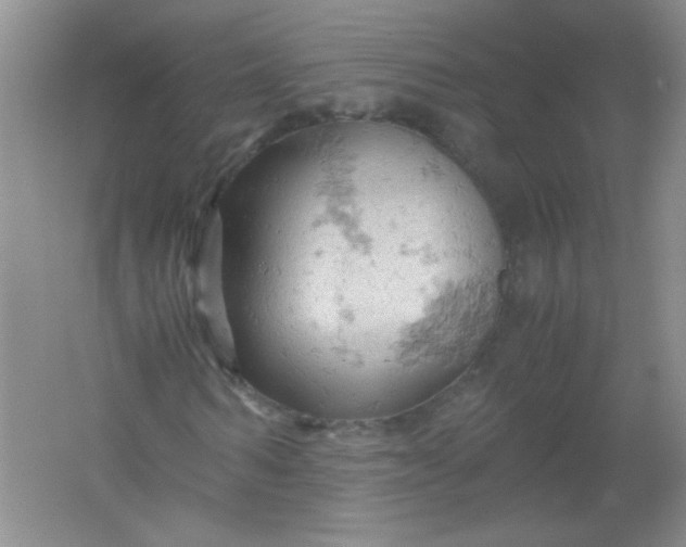 X0000061740962200512161645