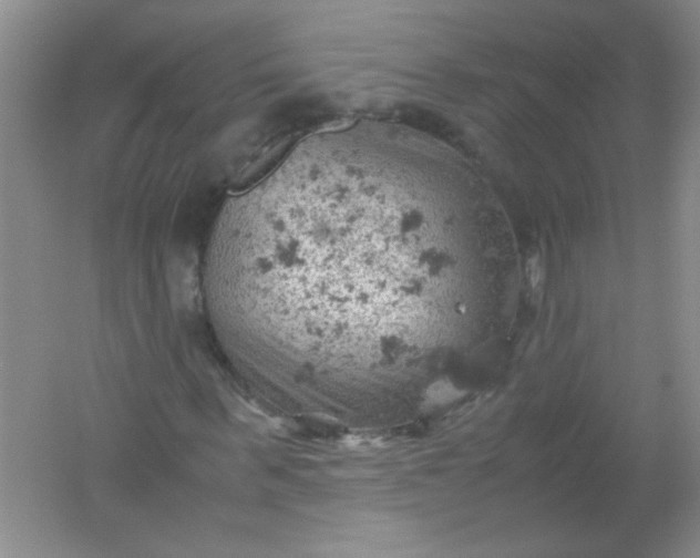 X0000061740963200512161645